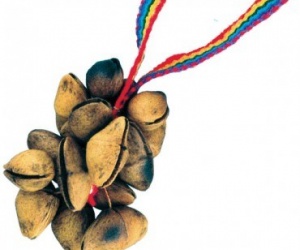 Cha-cha nuts