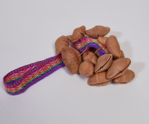 Cha-cha nuts