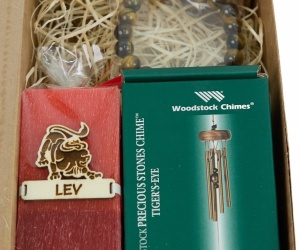 Zodiac Sign Gift Set - Leo
