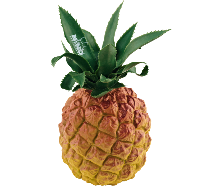 Rattle pineapple