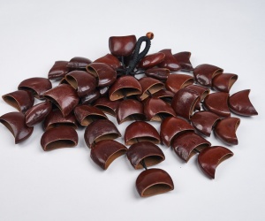 Sea rattle