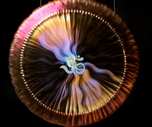 Gong Óm 70 cm