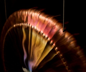 Gong Óm 70 cm