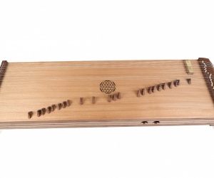 Large concert kotamo