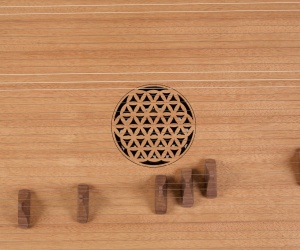 Large concert kotamo