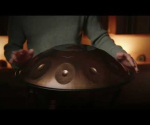 MOON Handpan D Kurd 9+1 432 Hz Stainless Steel