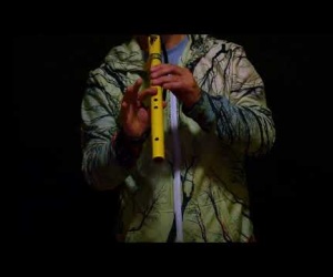 Stellar Flute Premiere G - ponderosa pine